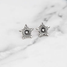 Load image into Gallery viewer, celestial ltars earrings
